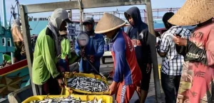 Foto: Ilustrasi pasar ikan Kukar.