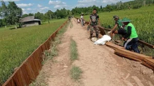 Foto: Jalan Pertanian di Tenggarong Seberang.(Ist)